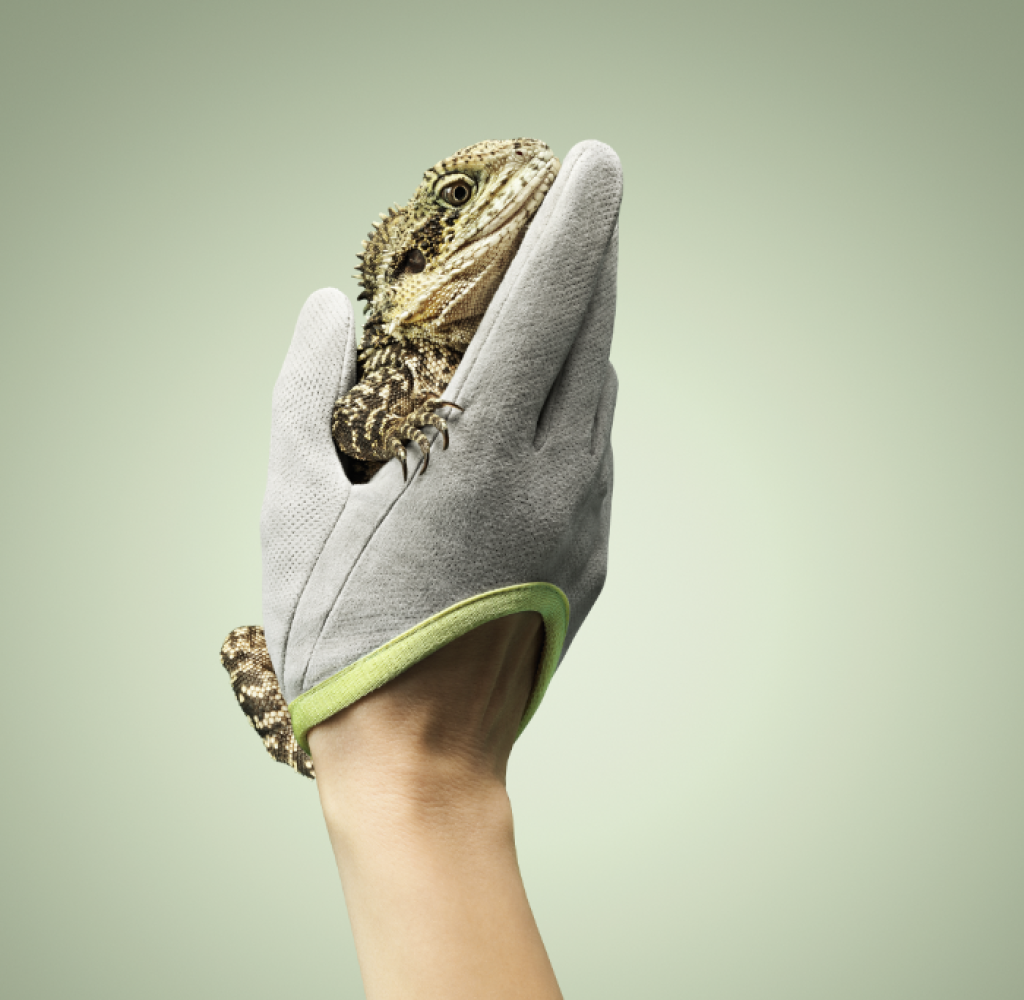 Roeckl Handschuhe & Accessoires: Stillshooting mit Reptilien